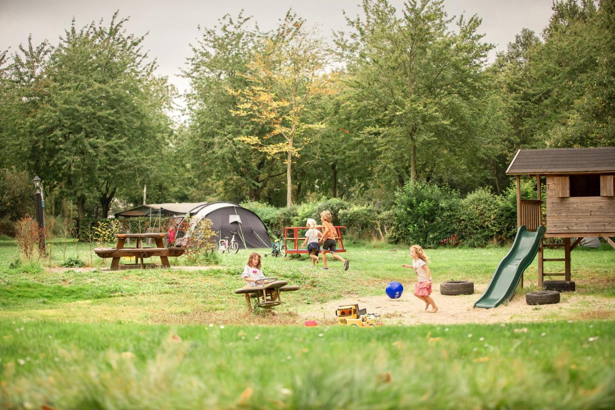 Campsite Trekkershut Plus Voor 5 Personen Incl Keuken